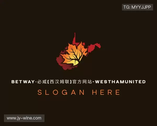 发现betway西汉姆联